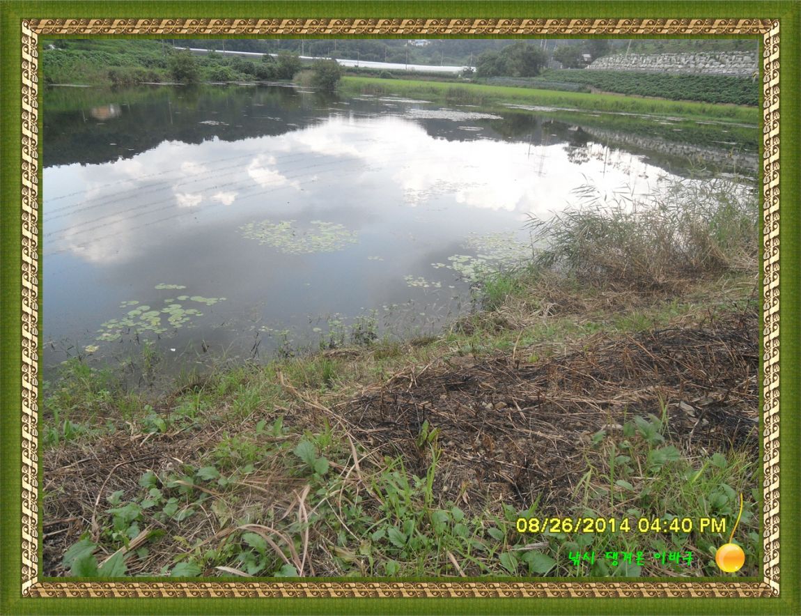 �ٹ̱�_SDC17270.jpg
