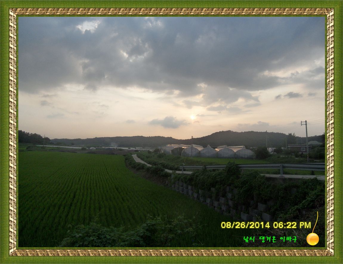 �ٹ̱�_SDC17276.jpg