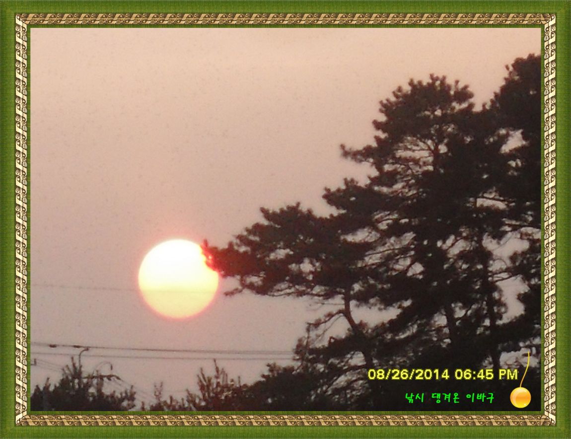 �ٹ̱�_SDC17279.jpg