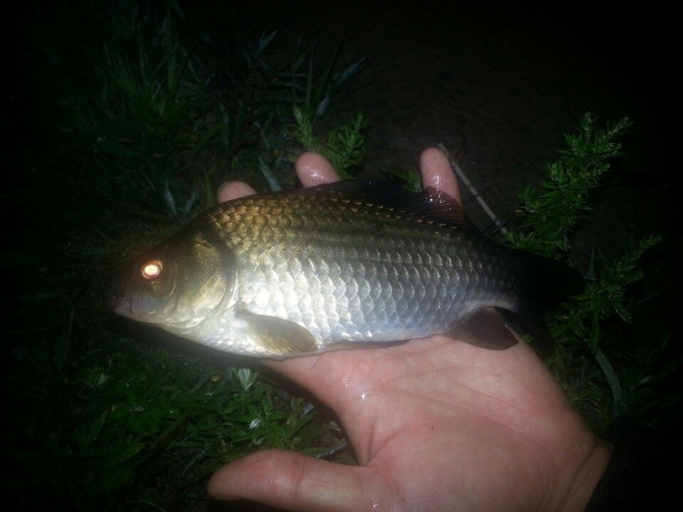 1409199044389.jpeg