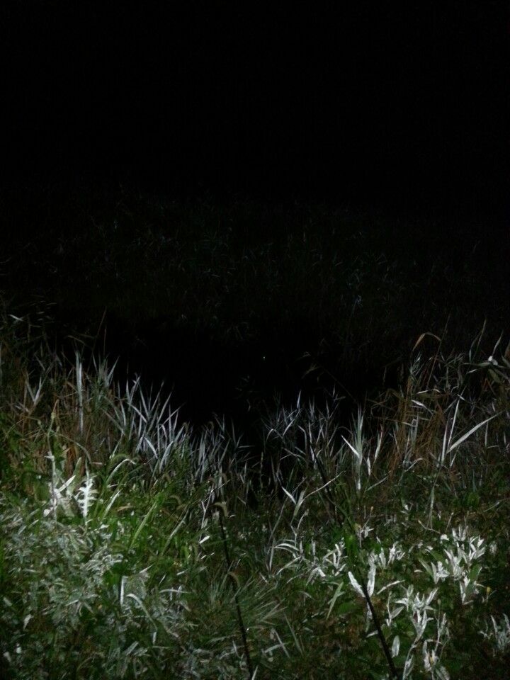1409199057673.jpeg