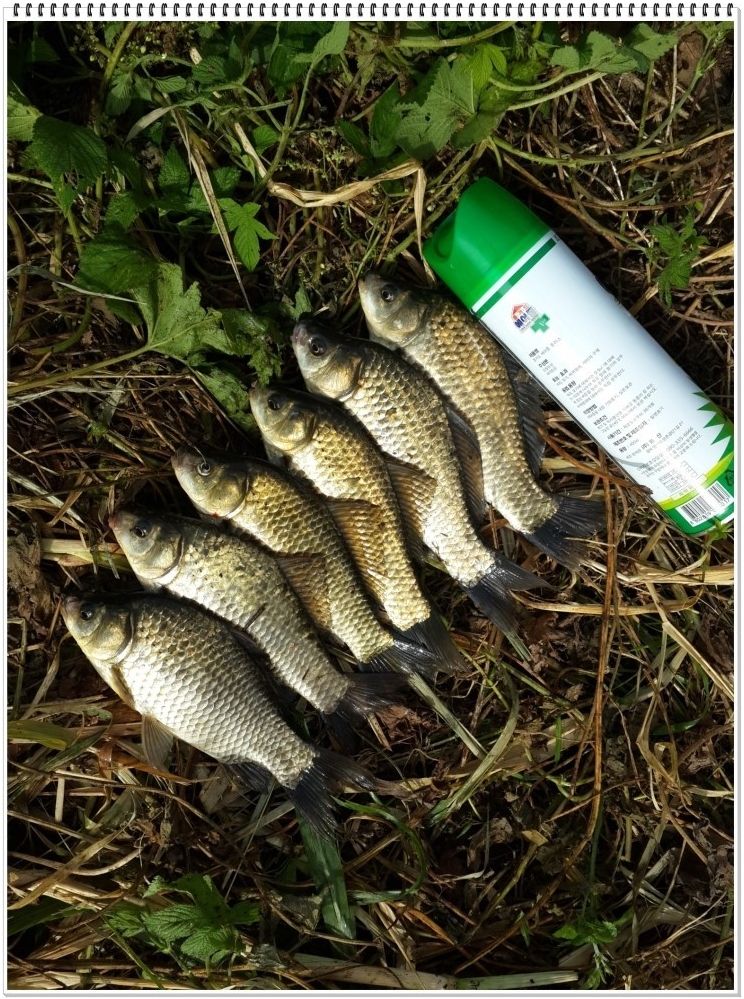 2014-09-01 17;02;42.jpg