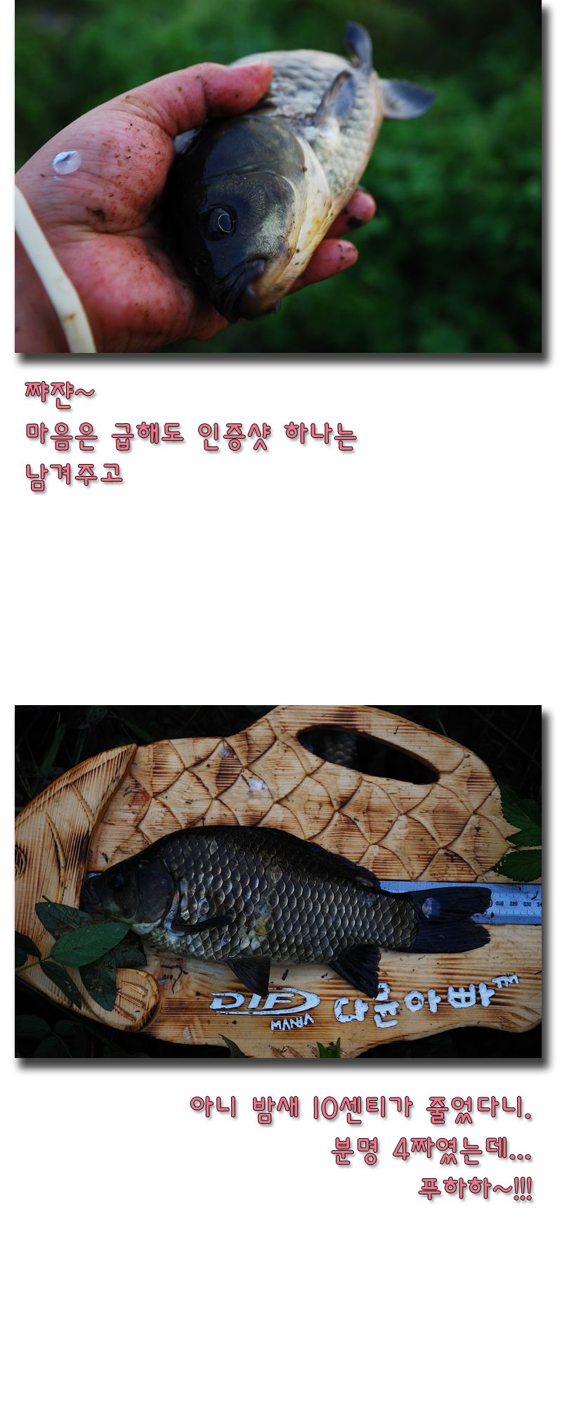 12 copy.jpg