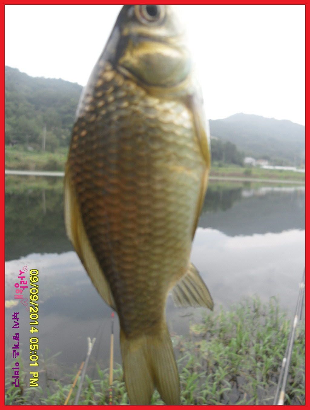 ٹ̱_SDC17613.jpg