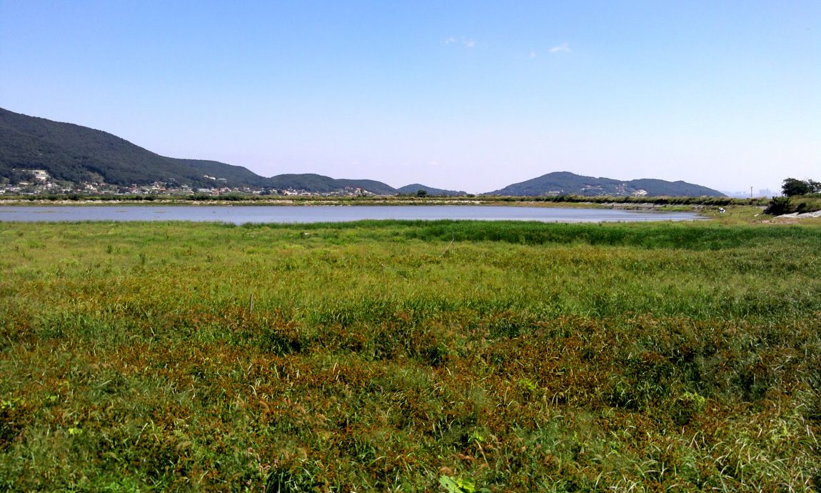 2014-09-10 12.49.28.jpg