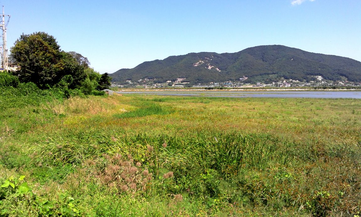 2014-09-10 12.50.07.jpg
