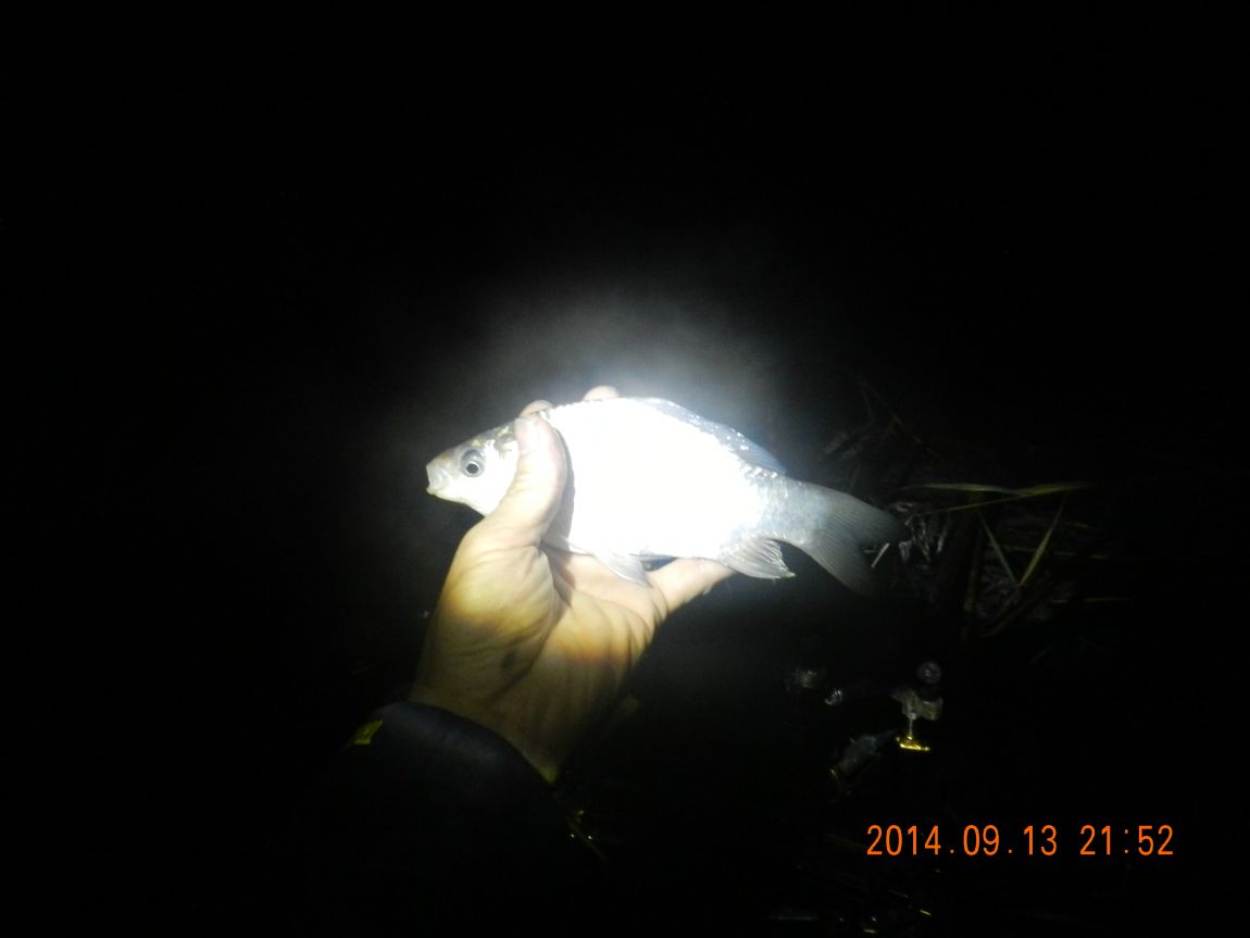 DSCN1853.JPG