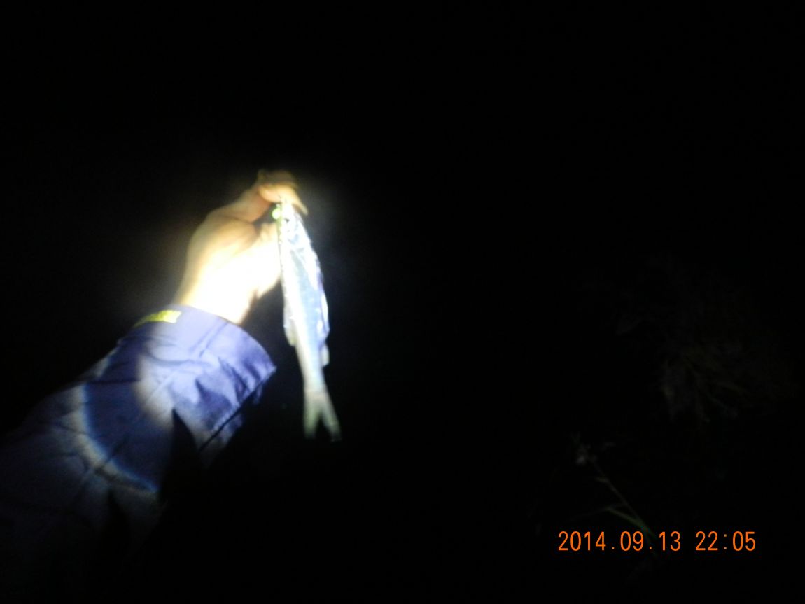 DSCN1857.JPG