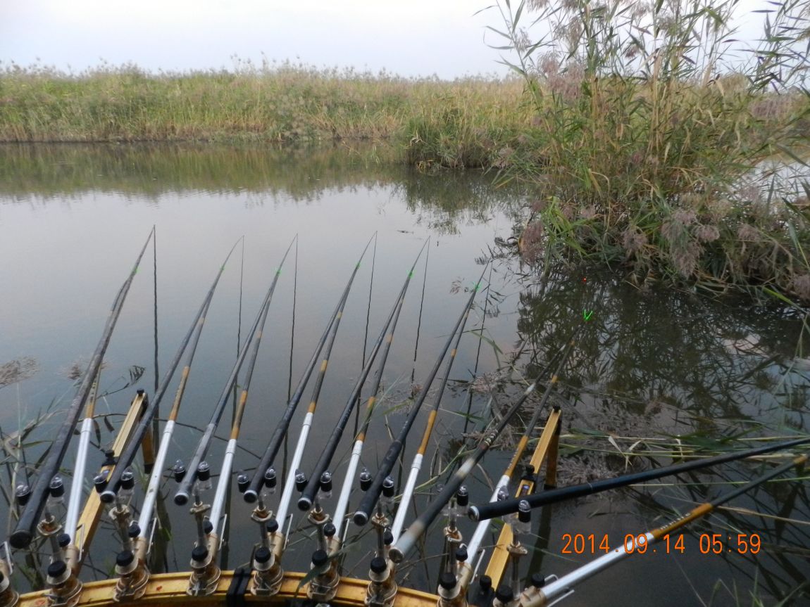 DSCN1859.JPG