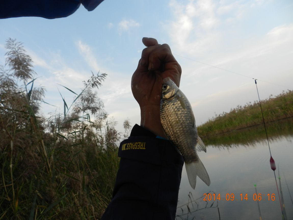 DSCN1860.JPG
