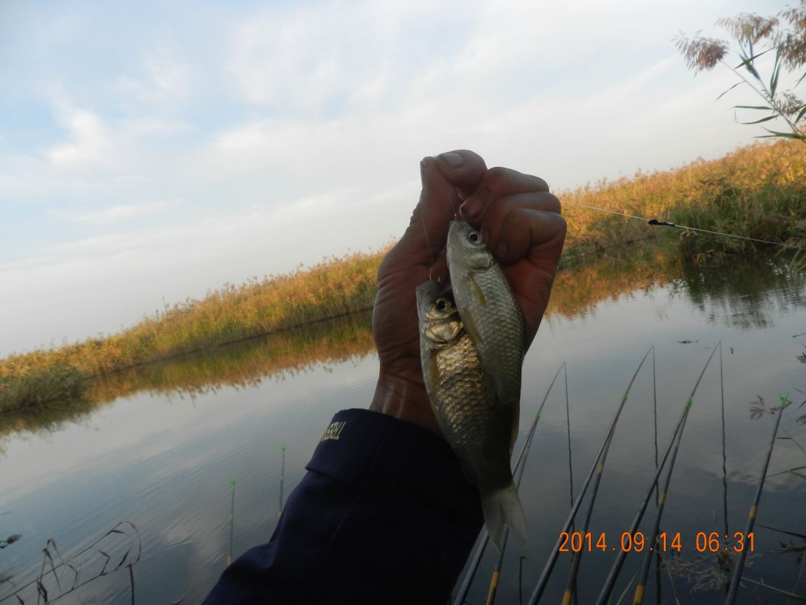 DSCN1865.JPG