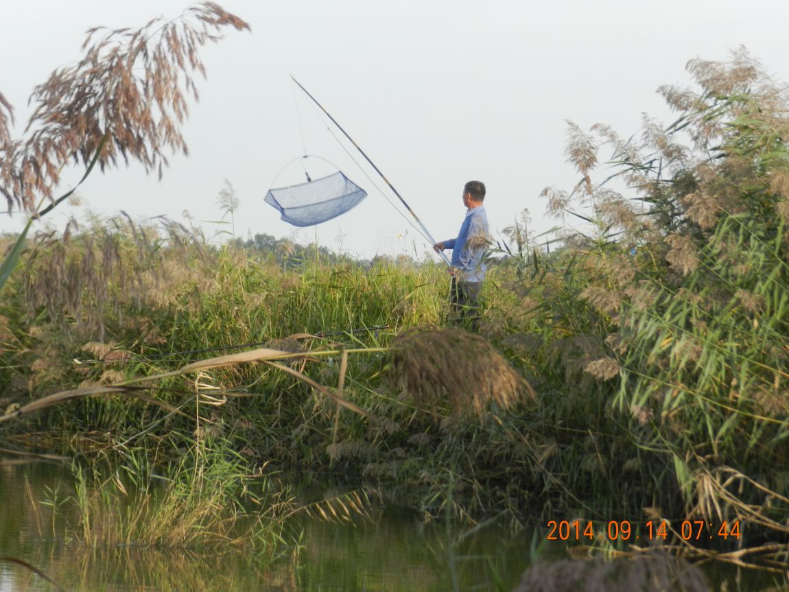 DSCN1866.JPG