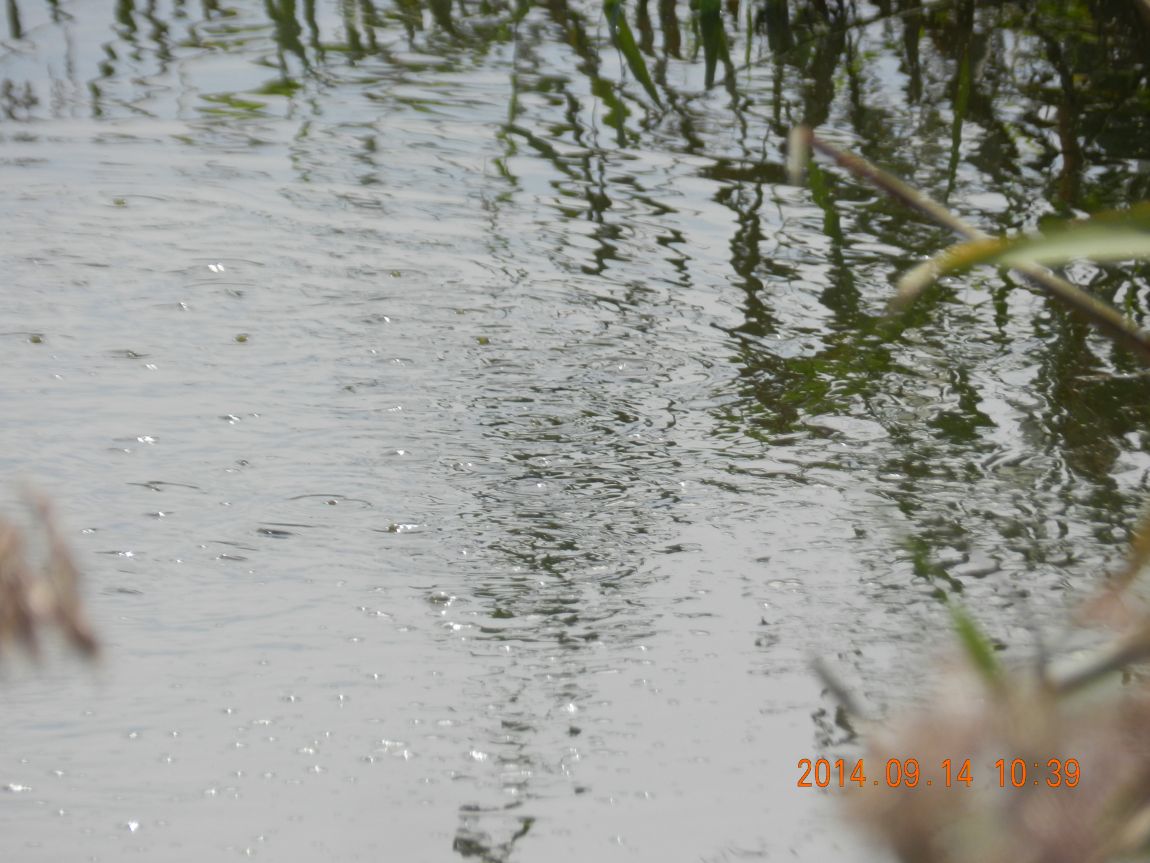 DSCN1867.JPG