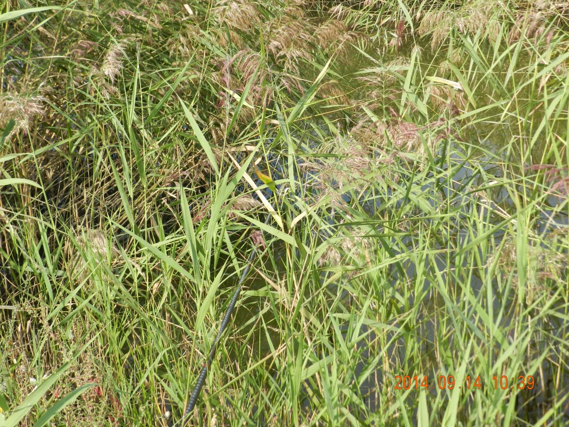 DSCN1869.JPG