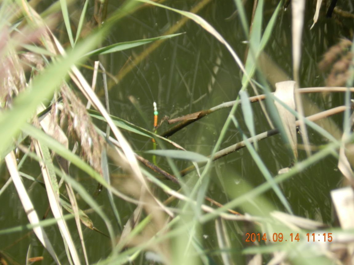 DSCN1872.JPG