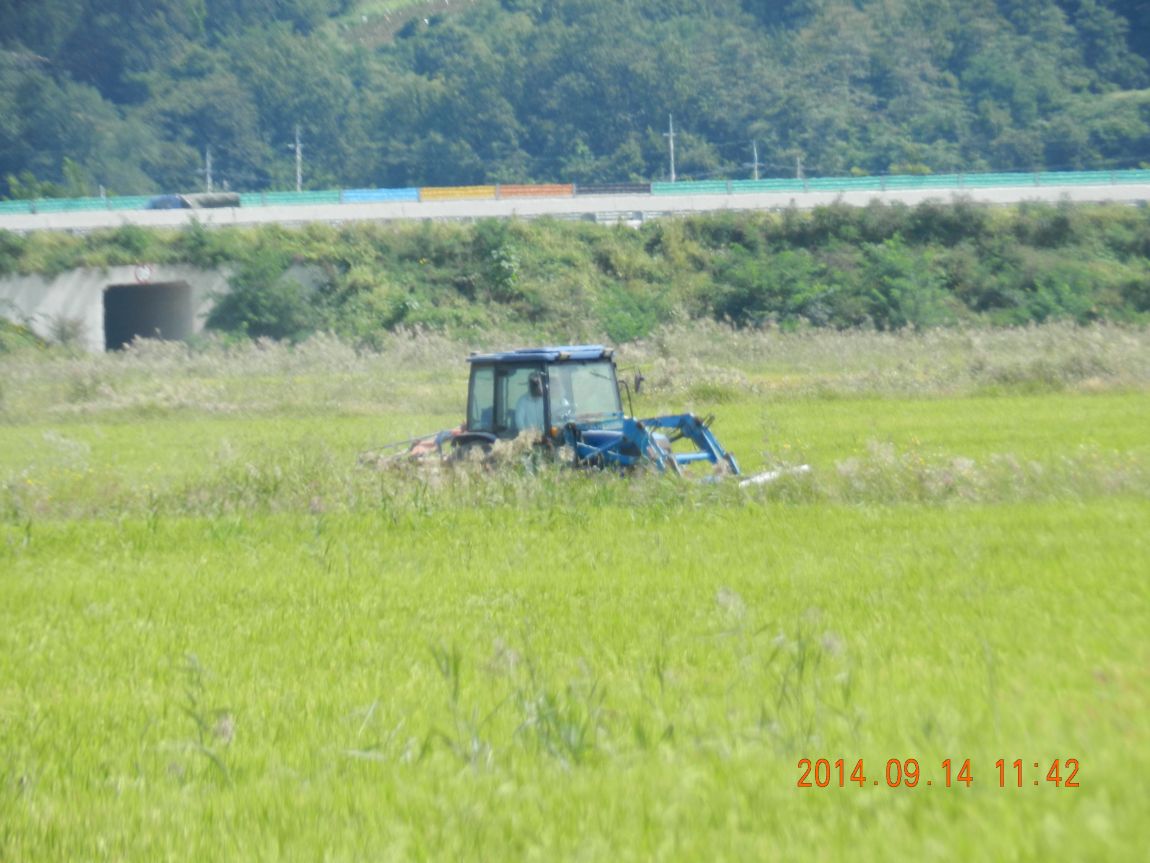DSCN1875.JPG