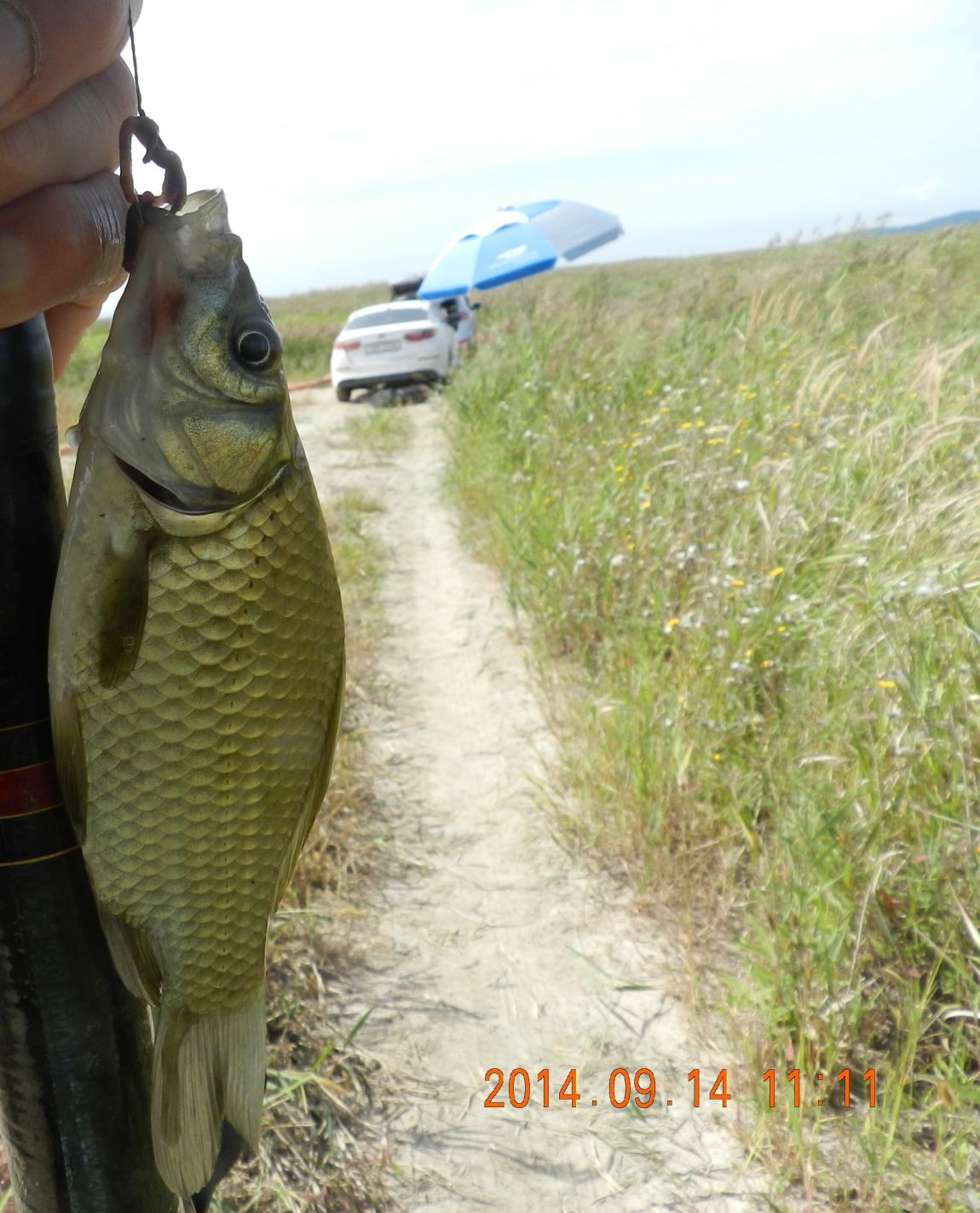 DSCN1871.JPG