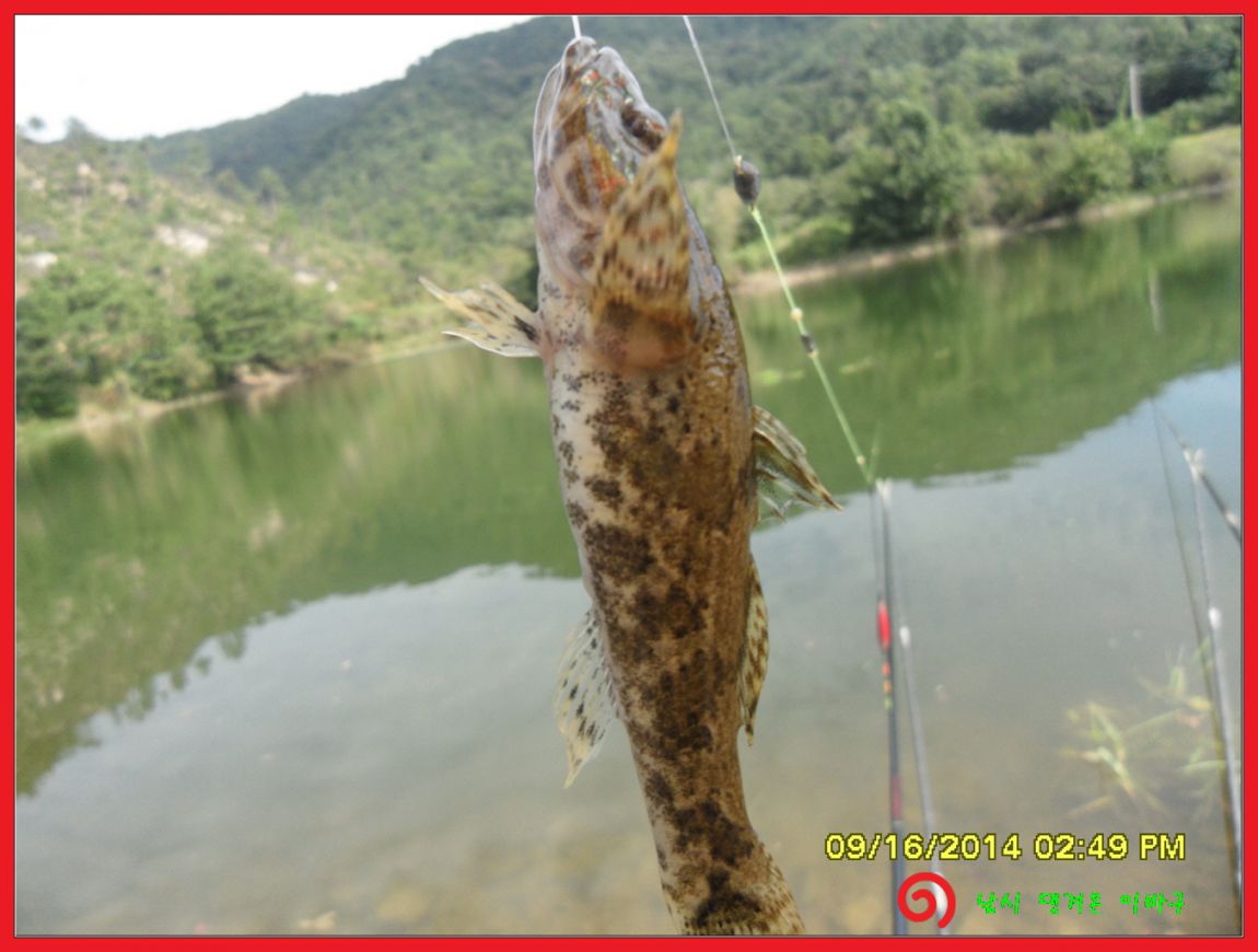 �ٹ̱�_SDC17887.jpg