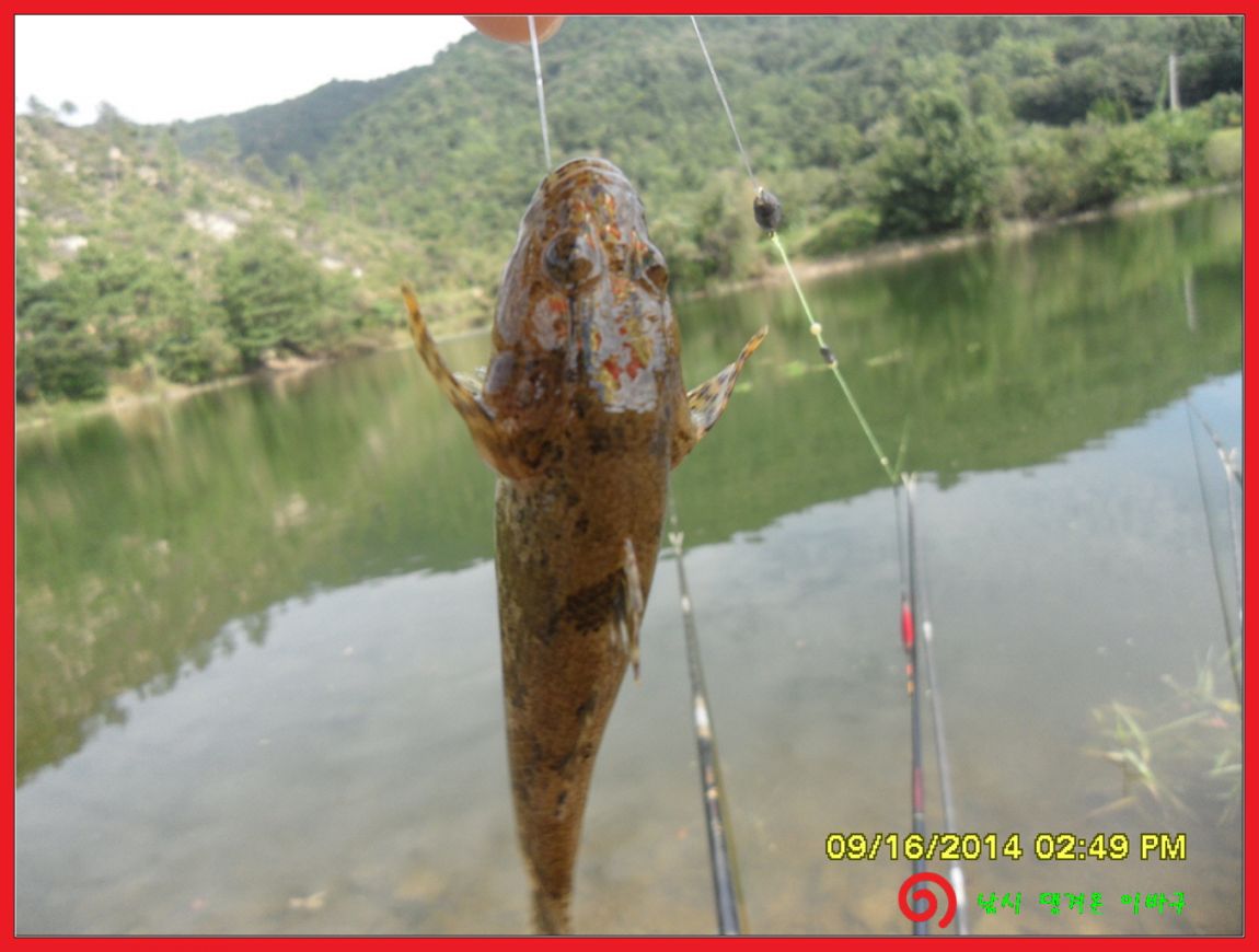 �ٹ̱�_SDC17888.jpg