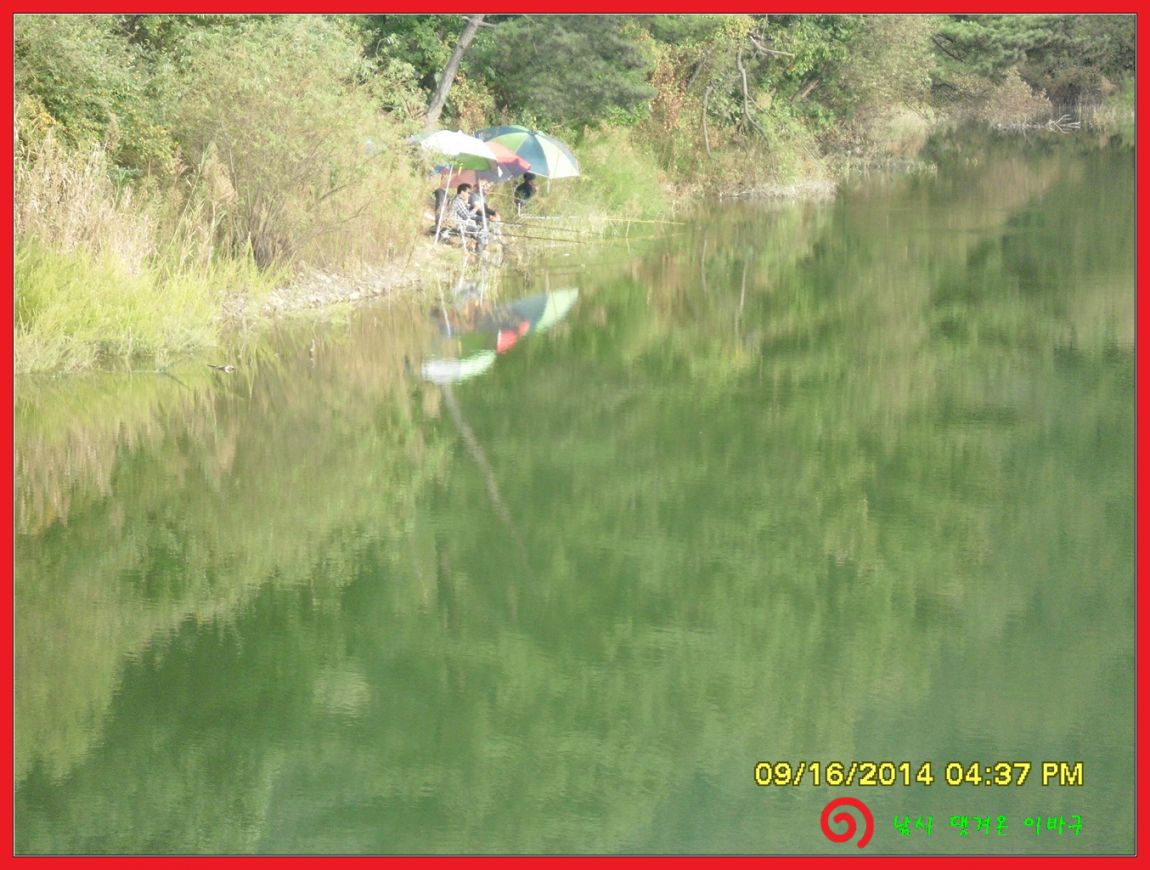 �ٹ̱�_SDC17895.jpg