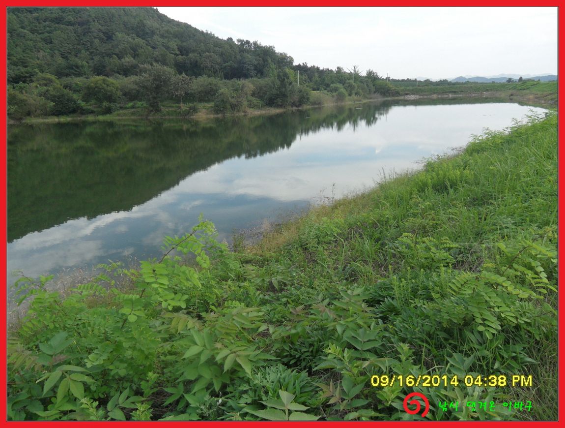 �ٹ̱�_SDC17896.jpg