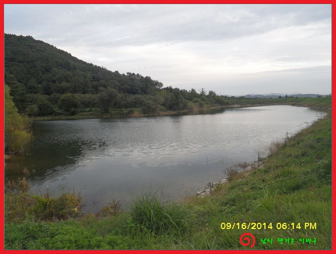 �ٹ̱�_SDC17911.jpg