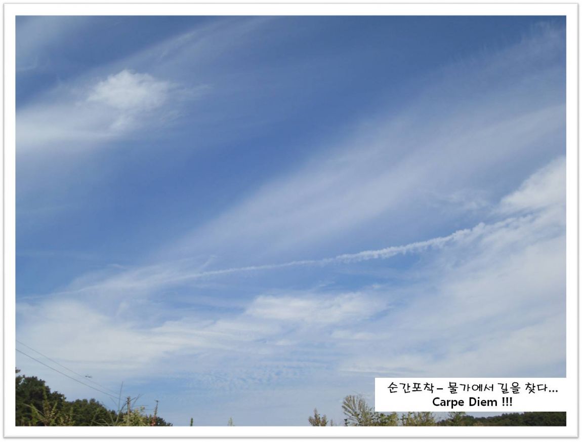SDC14032.JPG