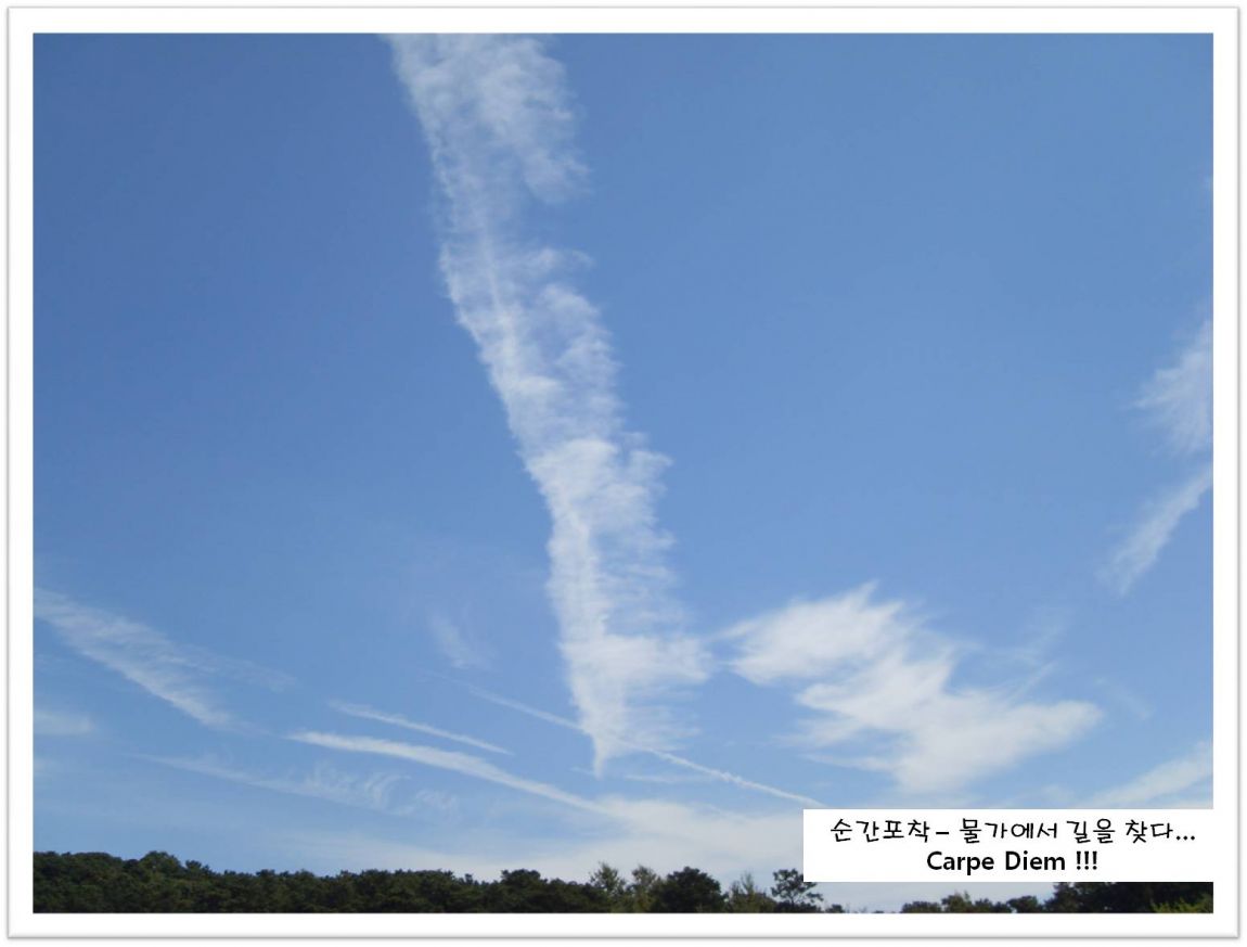 SDC14031.JPG