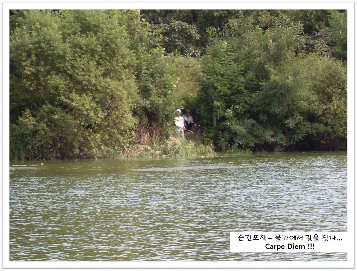 SDC14036.JPG