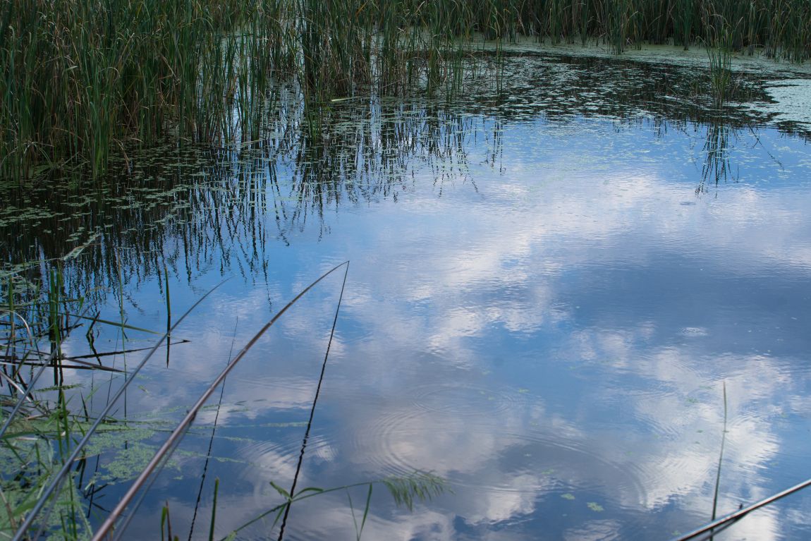 DSC05108.jpg
