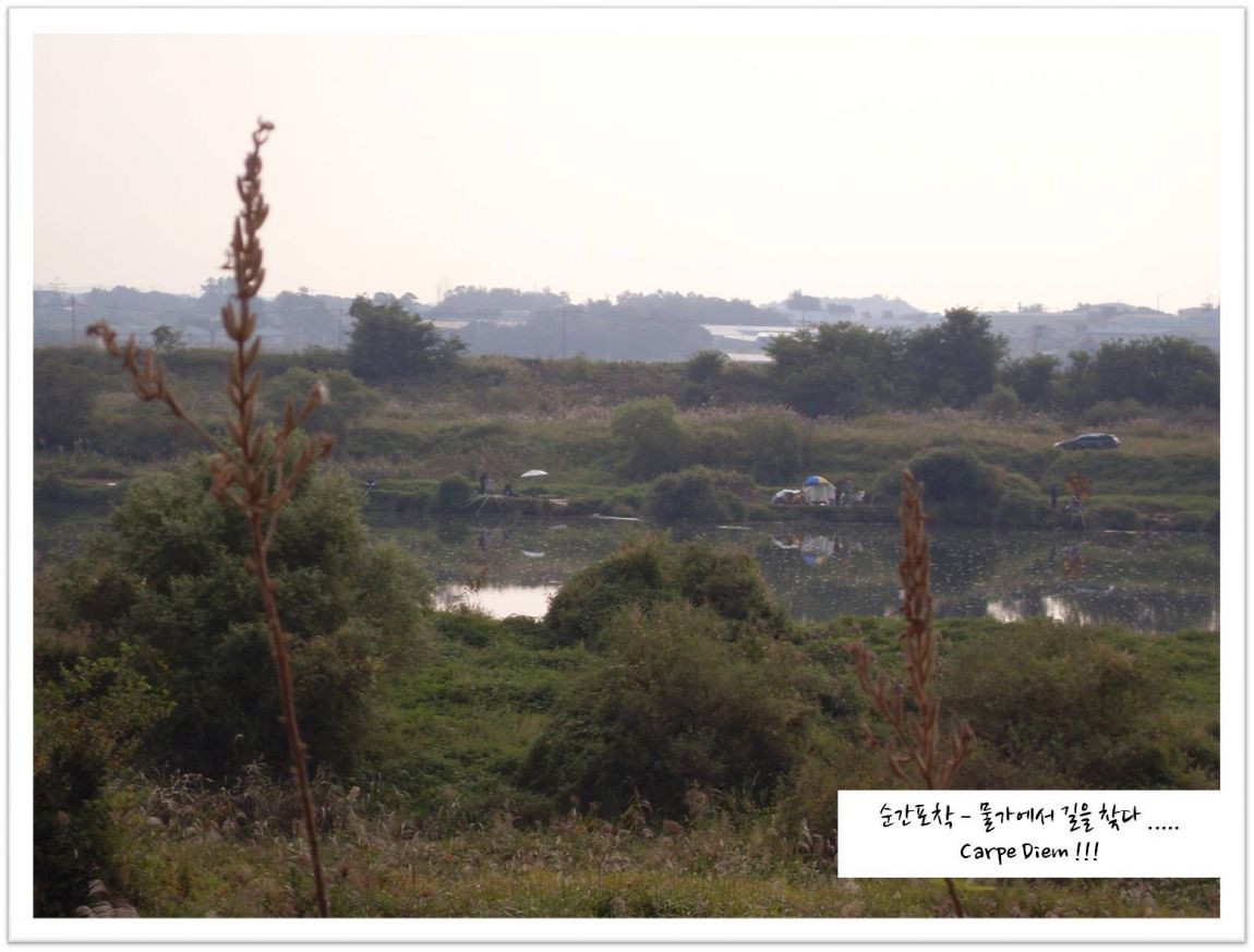 SDC14042.JPG