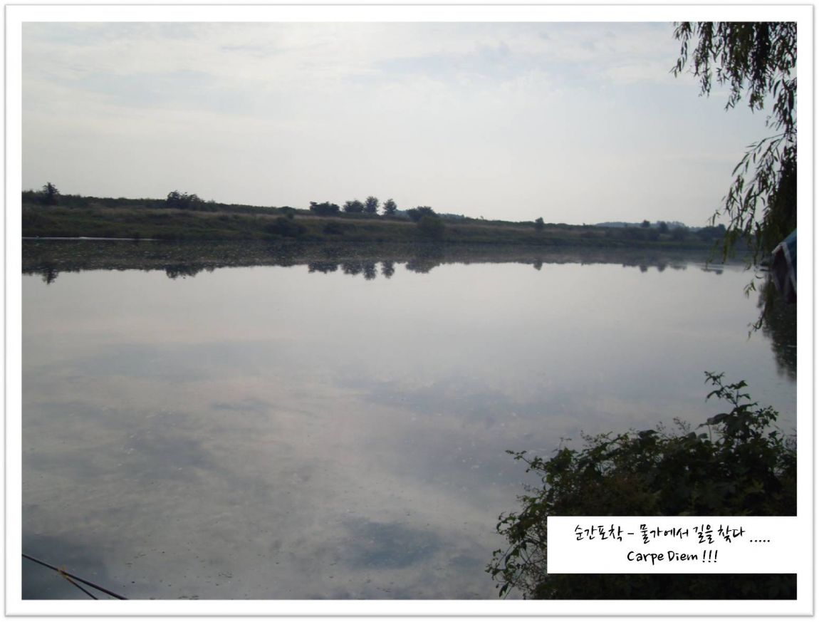 SDC14046.JPG
