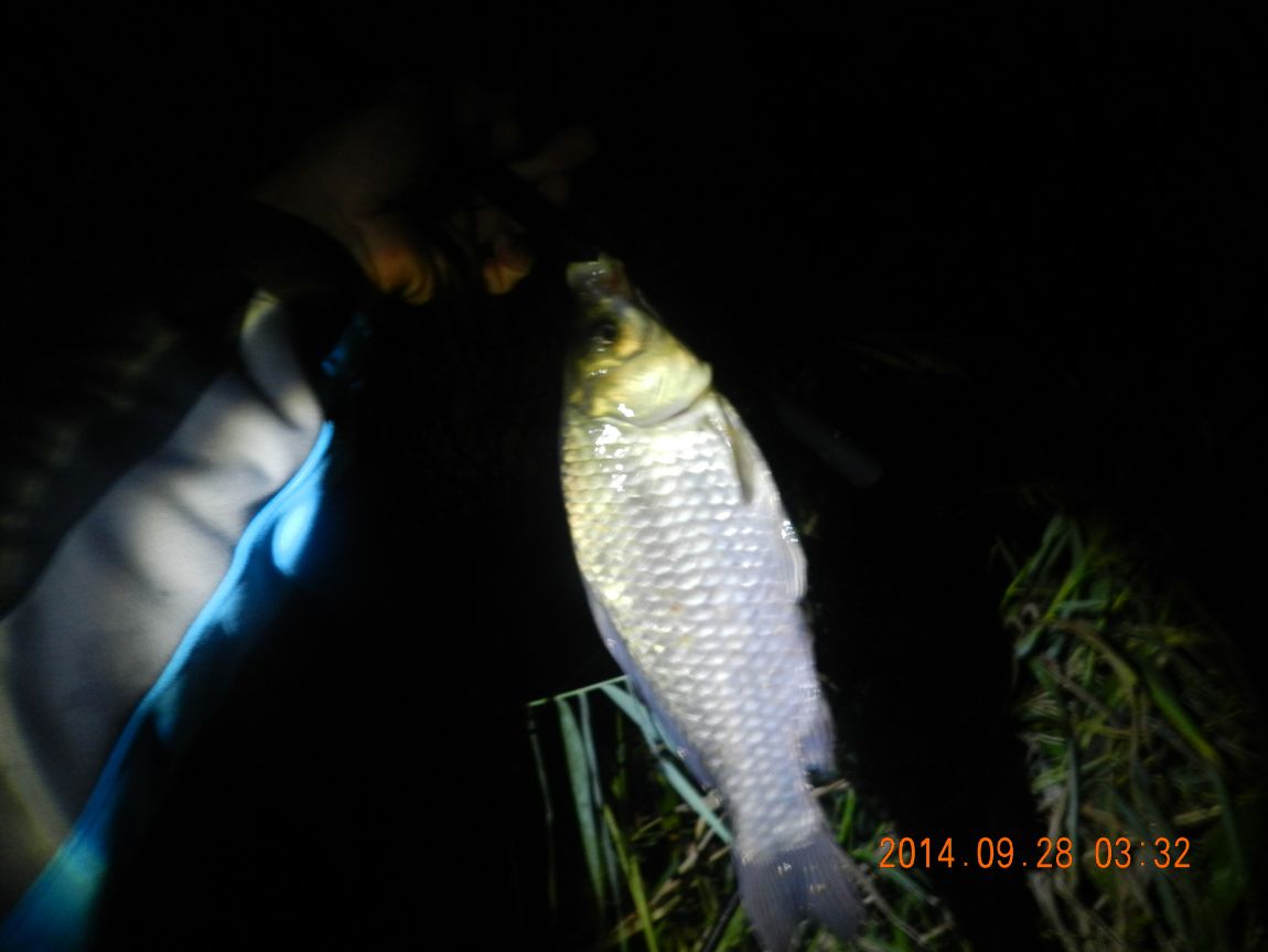 DSCN1876.JPG