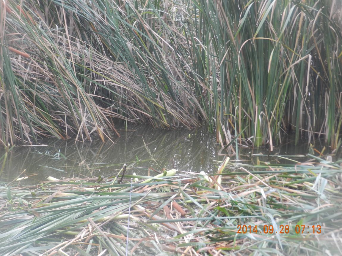 DSCN1893.JPG