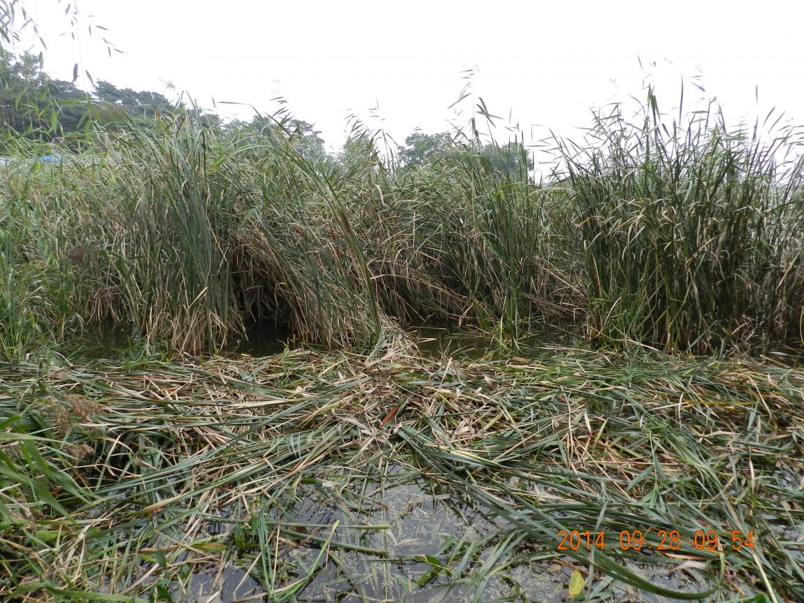 DSCN1898.JPG
