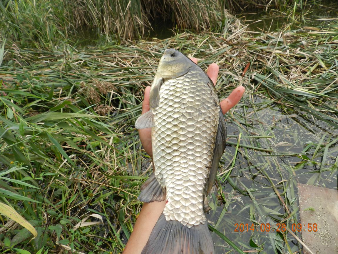DSCN1912.JPG