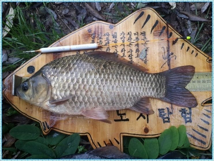 2014-09-29 15;56;49.jpg