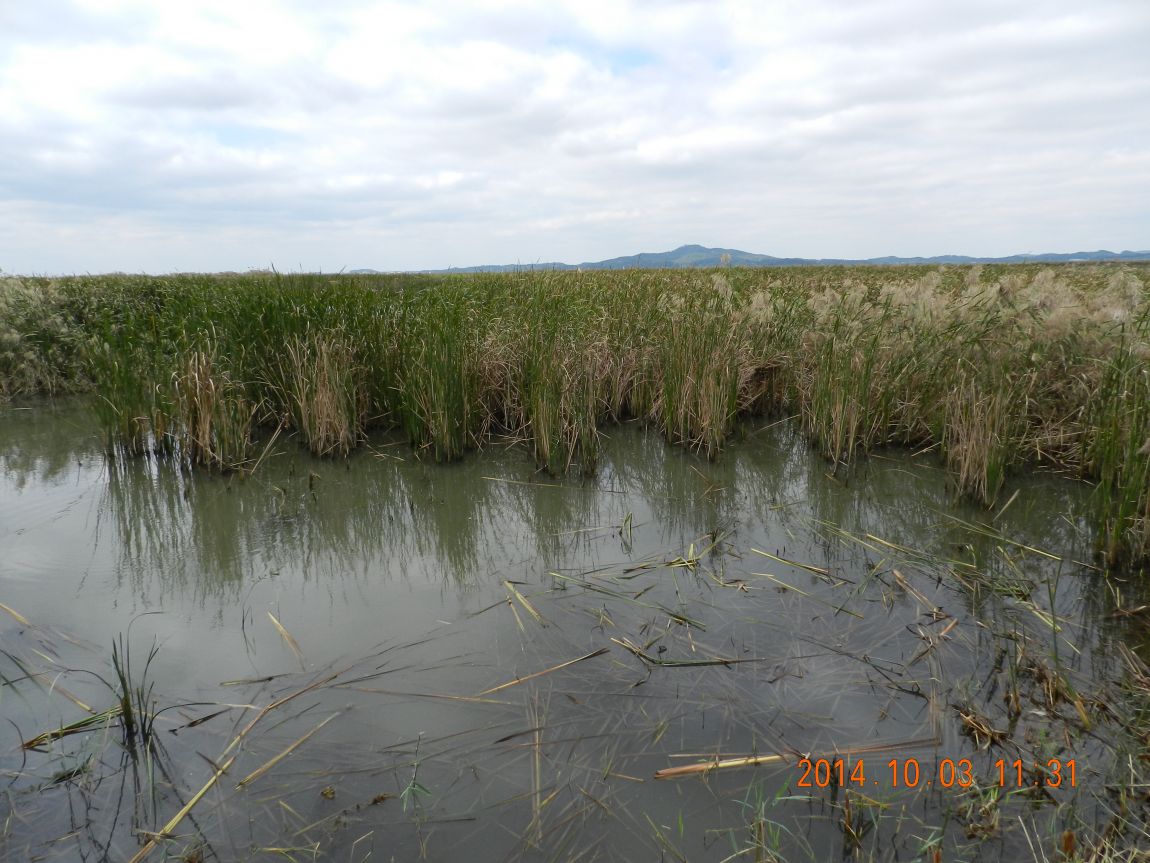 DSCN1919.JPG