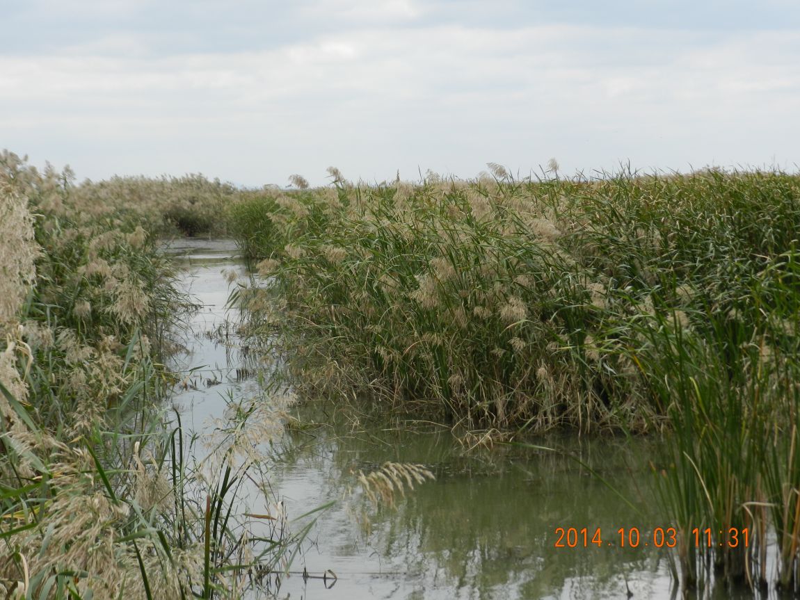 DSCN1920.JPG