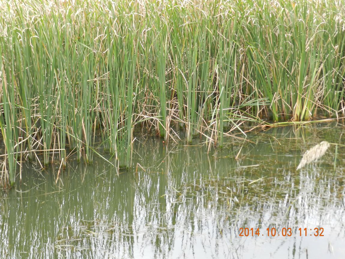 DSCN1921.JPG