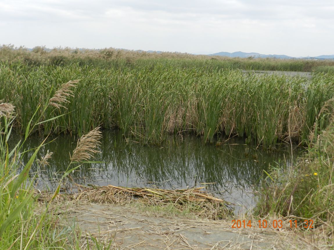 DSCN1922.JPG