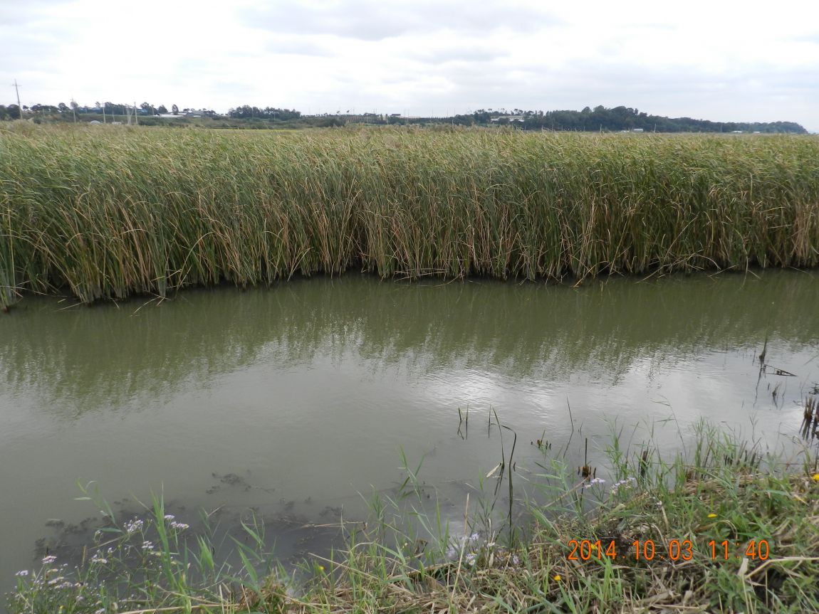 DSCN1923.JPG