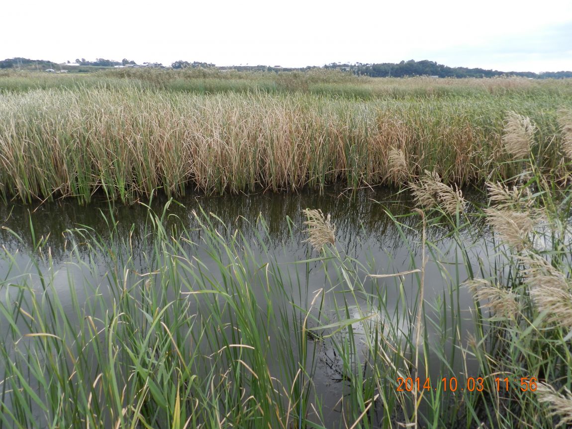 DSCN1924.JPG