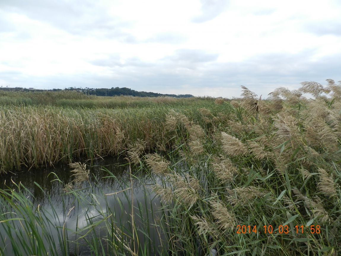 DSCN1927.JPG