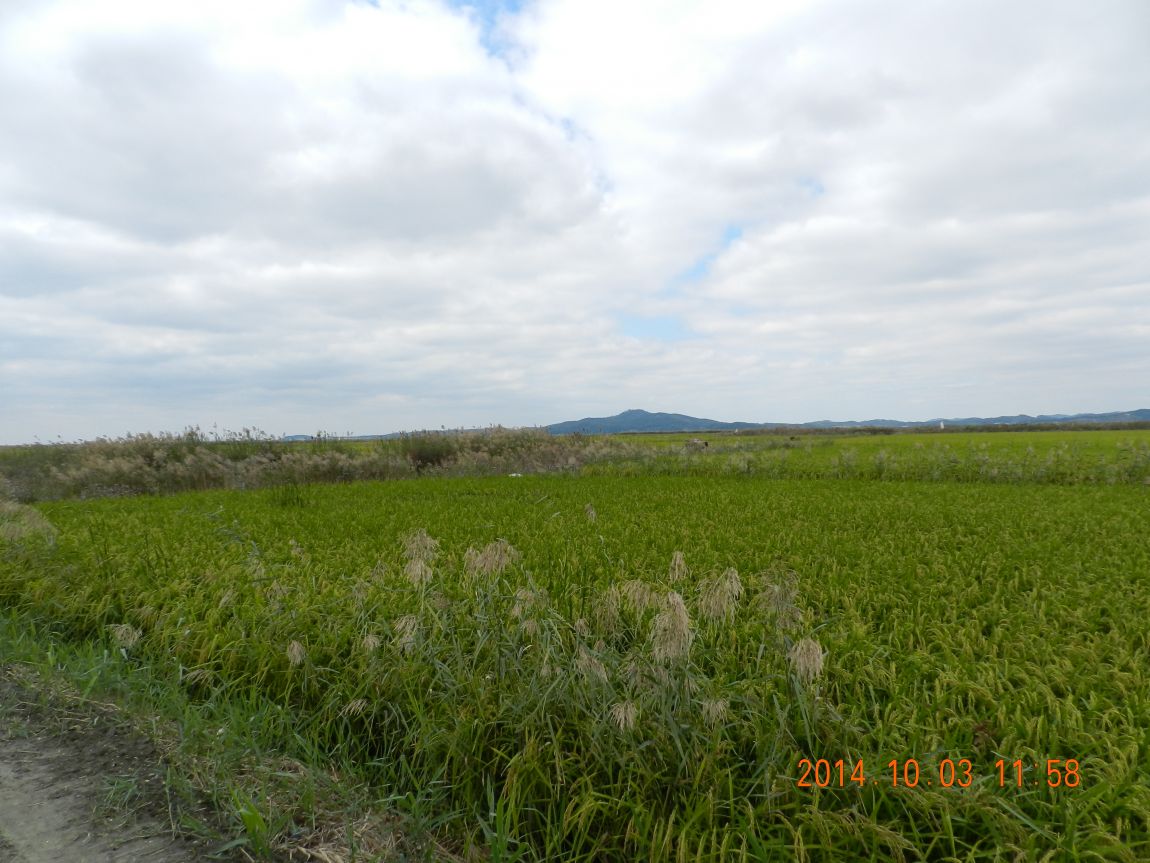 DSCN1928.JPG