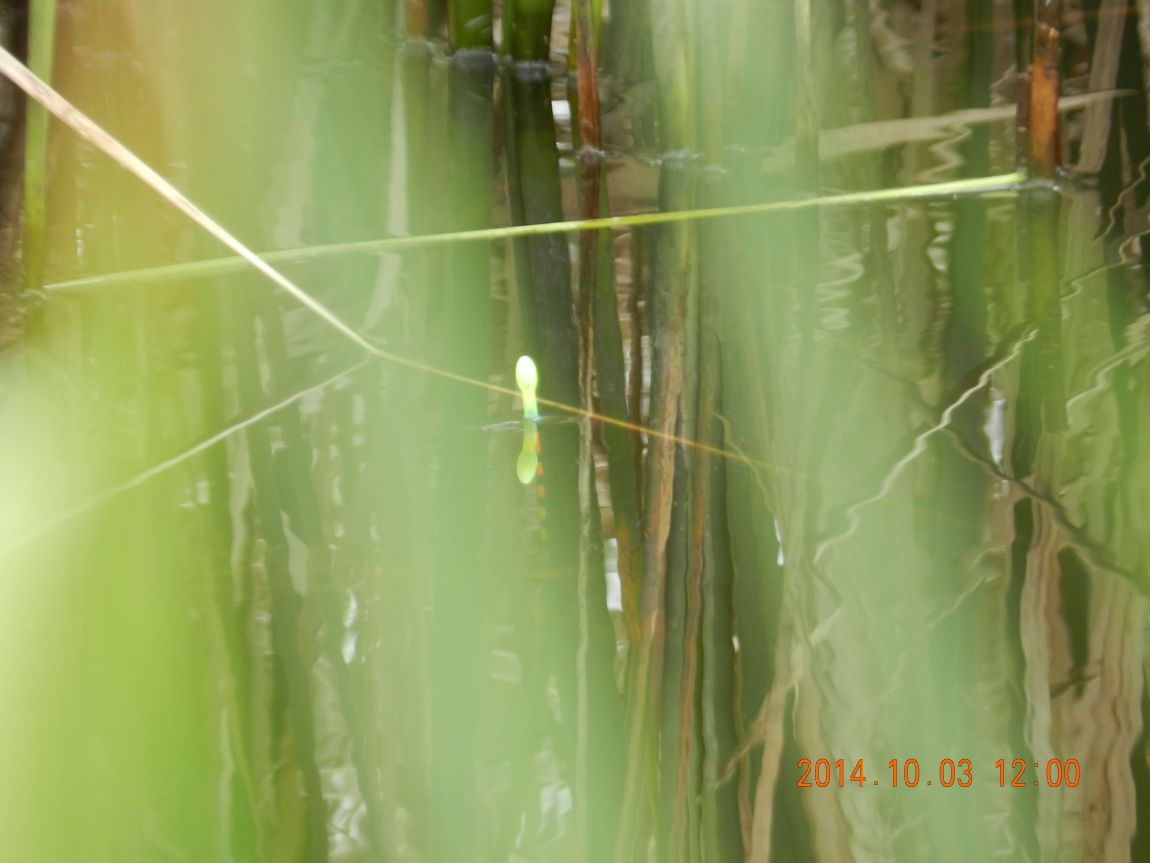 DSCN1929.JPG
