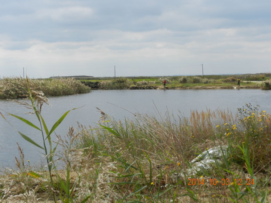 DSCN1933.JPG