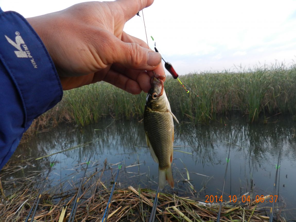 DSCN1945.JPG