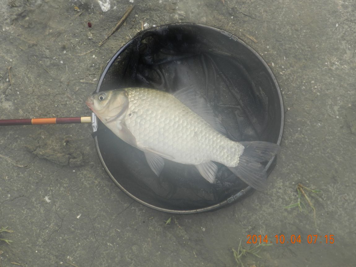 DSCN1946.JPG