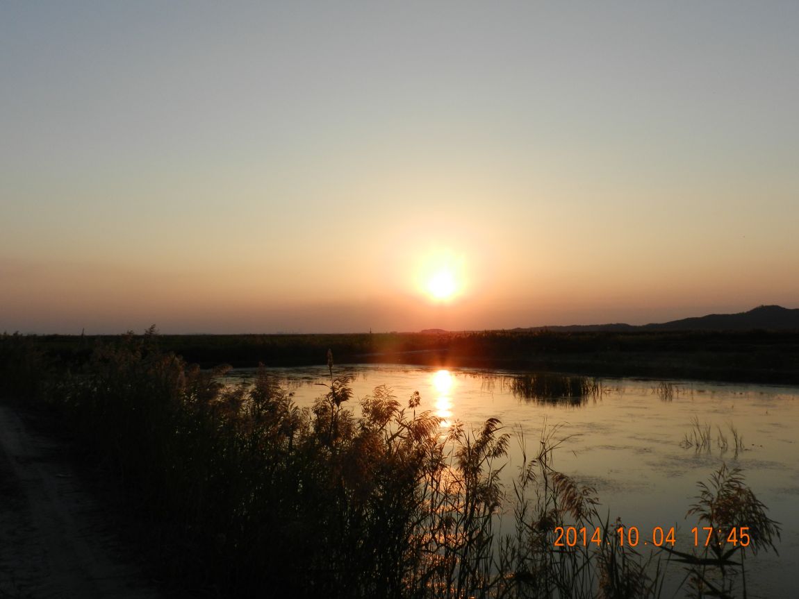 DSCN1968.JPG